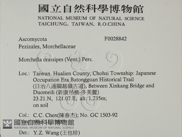 登錄號:F0028842藏品圖，第2張