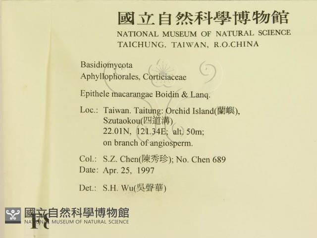 登錄號:F0008842藏品圖，第2張