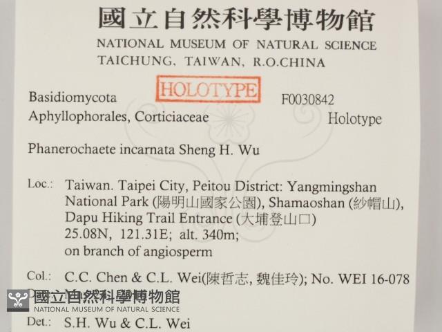 登錄號:F0030842藏品圖，第2張