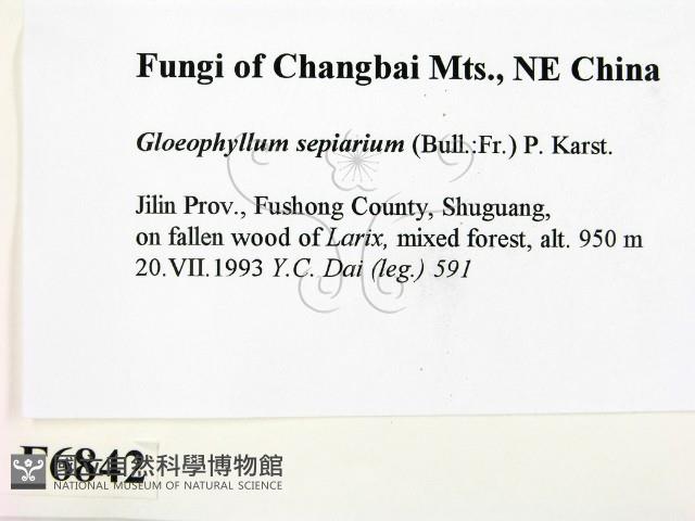 登錄號:F0006842藏品圖，第2張