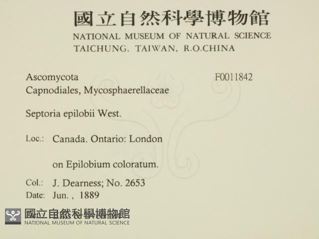 登錄號:F0011842藏品圖，第2張