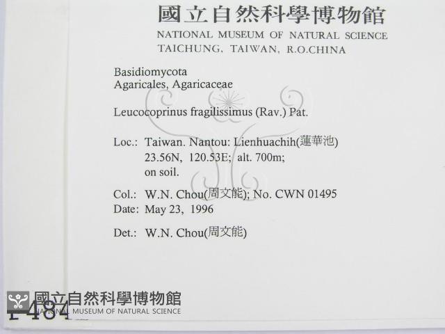 登錄號:F0004842藏品圖，第2張