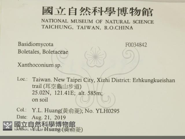 登錄號:F0034842藏品圖，第2張