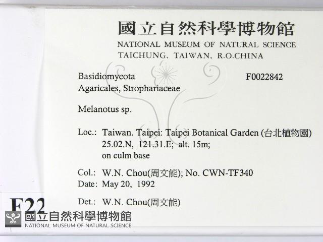 登錄號:F0022842藏品圖，第2張