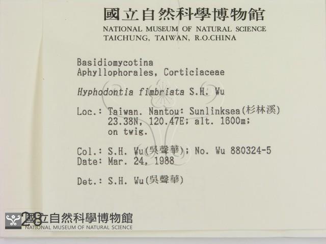 登錄號:F0002842藏品圖，第2張