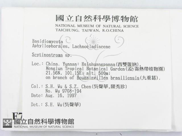 登錄號:F0007842藏品圖，第2張