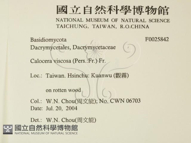 登錄號:F0025842藏品圖，第2張