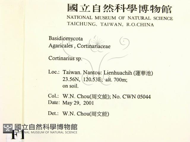 登錄號:F0015842藏品圖，第2張