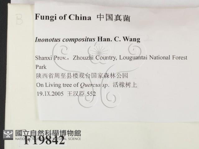 登錄號:F0019842藏品圖，第2張