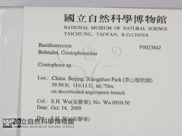 登錄號:F0023842藏品圖，第2張