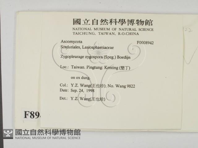 登錄號:F0008942藏品圖，第2張