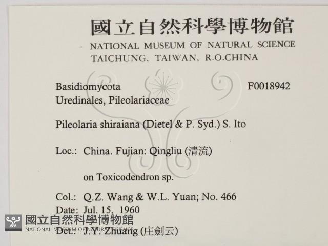 登錄號:F0018942藏品圖，第2張
