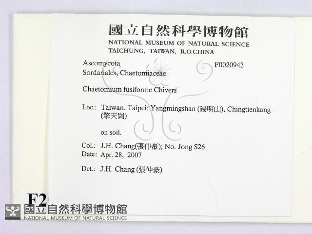 登錄號:F0020942藏品圖，第2張