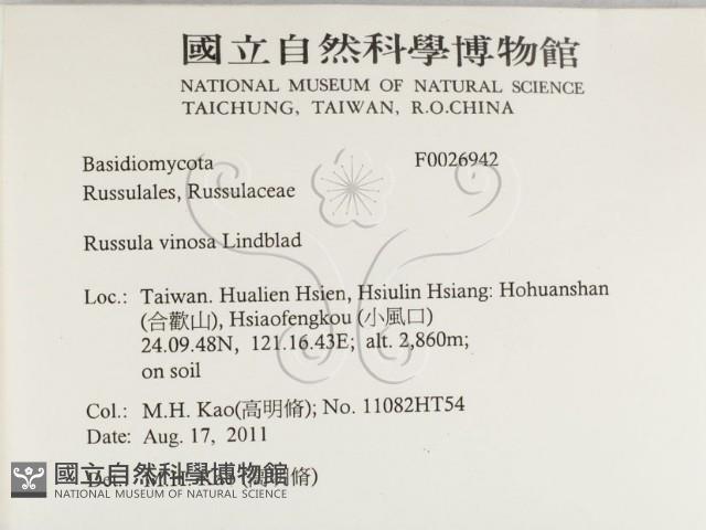 登錄號:F0026942藏品圖，第2張