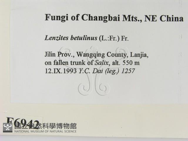 登錄號:F0006942藏品圖，第2張