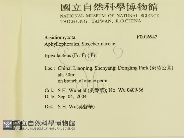 登錄號:F0016942藏品圖，第2張