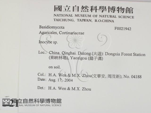 登錄號:F0021942藏品圖，第2張