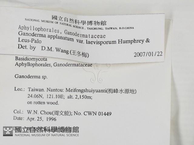 登錄號:F0004942藏品圖，第2張