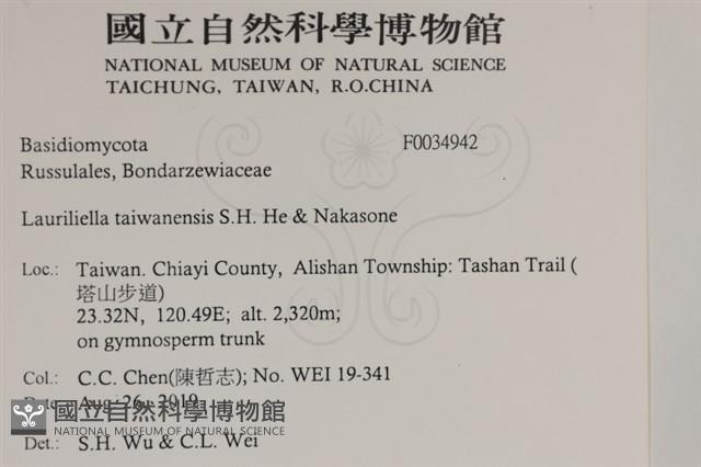 登錄號:F0034942藏品圖，第2張