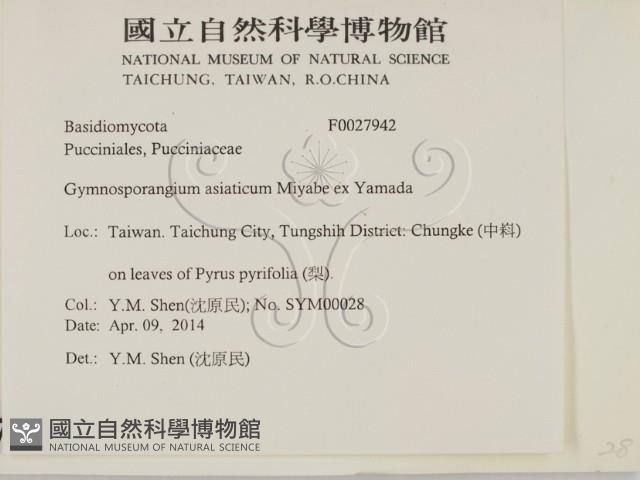 登錄號:F0027942藏品圖，第2張