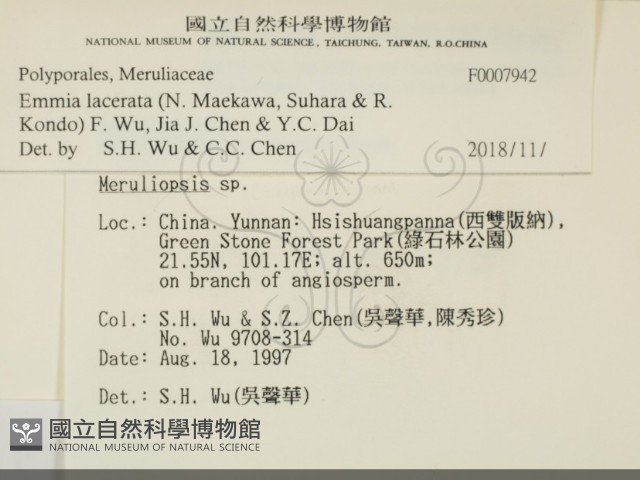 登錄號:F0007942藏品圖，第2張