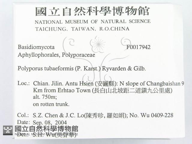 登錄號:F0017942藏品圖，第2張