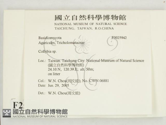 登錄號:F0025942藏品圖，第2張