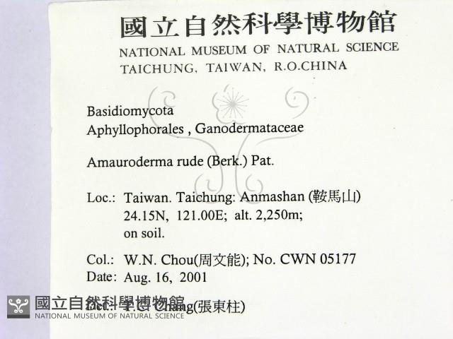 登錄號:F0015942藏品圖，第2張