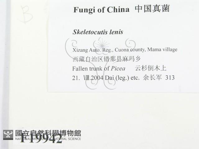 登錄號:F0019942藏品圖，第2張