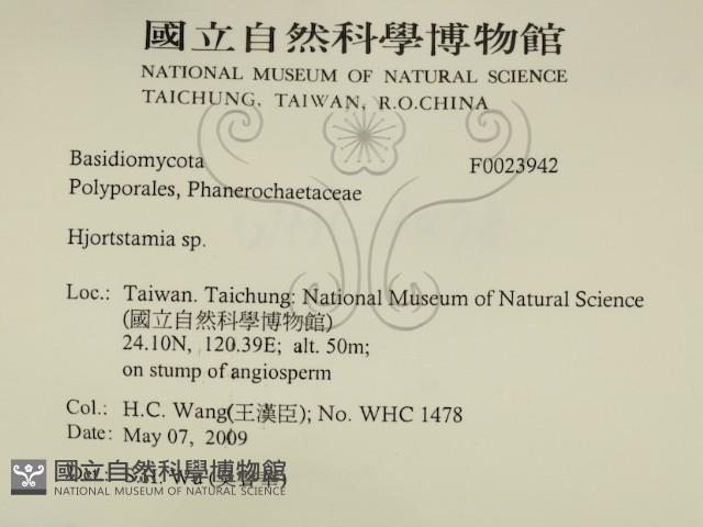 登錄號:F0023942藏品圖，第2張