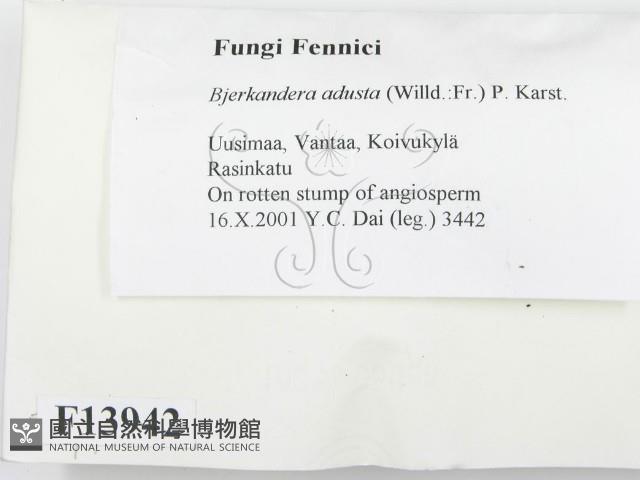 煙管菌藏品圖，第2張