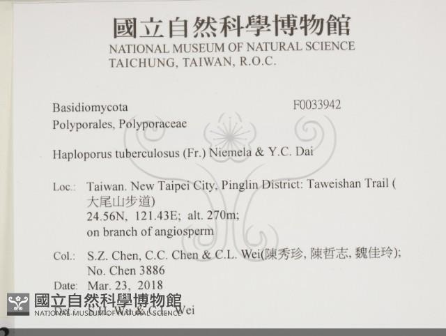 登錄號:F0033942藏品圖，第2張