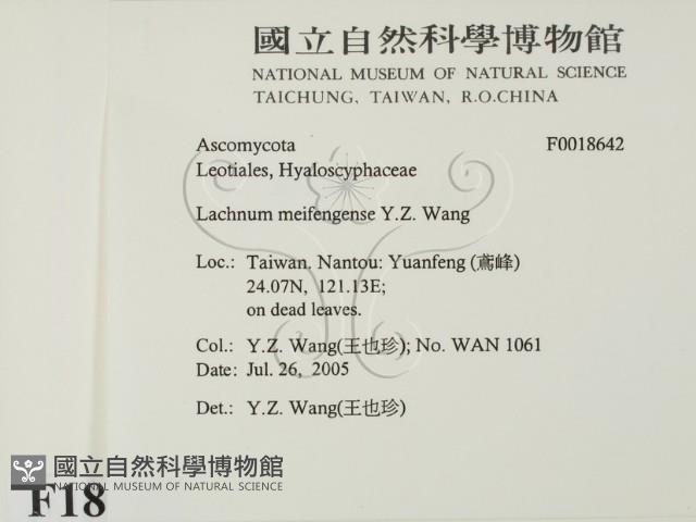 登錄號:F0018642藏品圖，第2張
