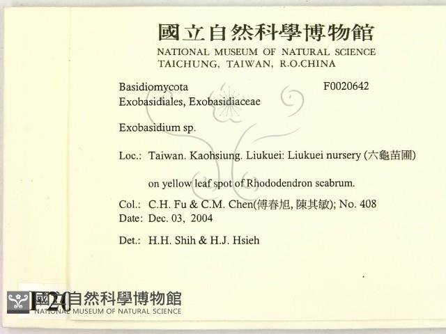 登錄號:F0020642藏品圖，第2張