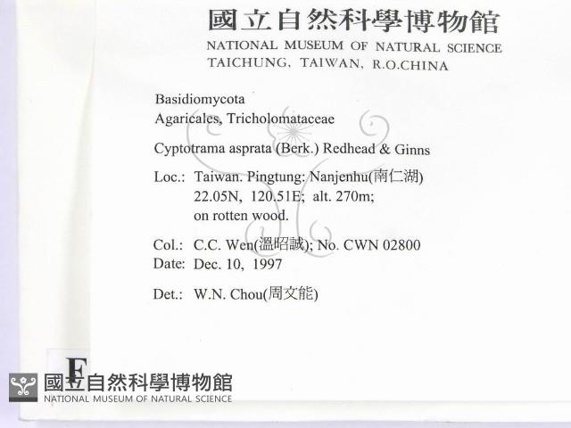 登錄號:F0010642藏品圖，第2張