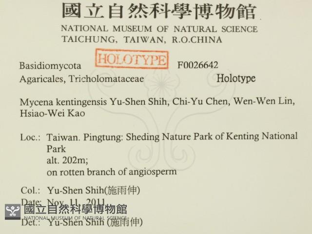 墾丁小菇藏品圖，第2張