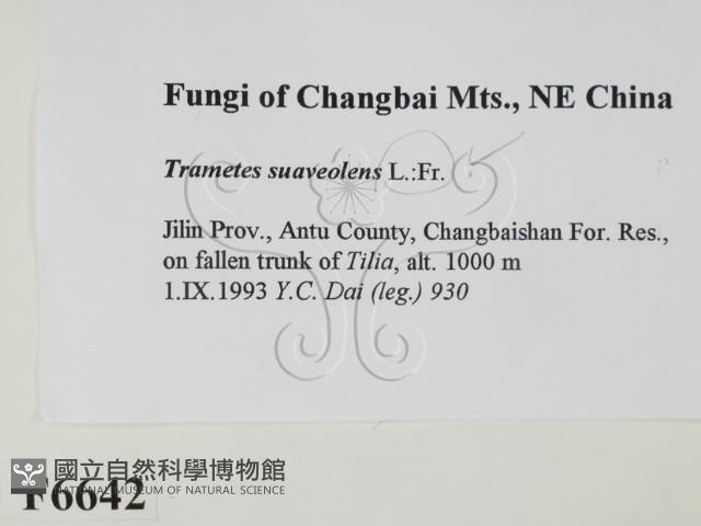 登錄號:F0006642藏品圖，第2張