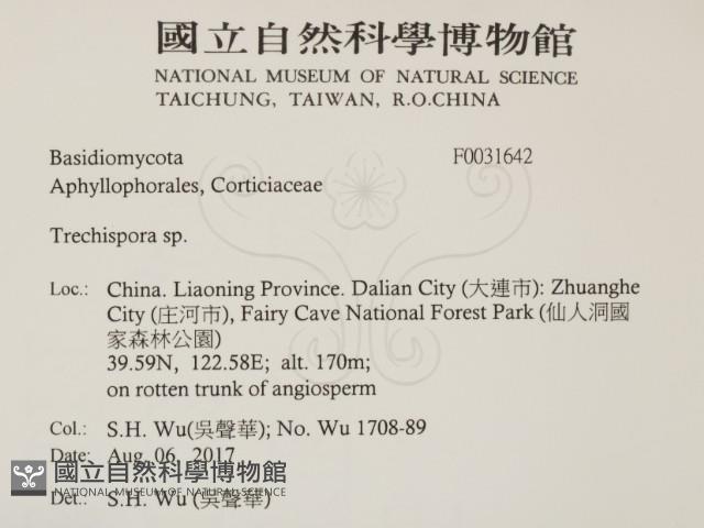登錄號:F0031642藏品圖，第2張