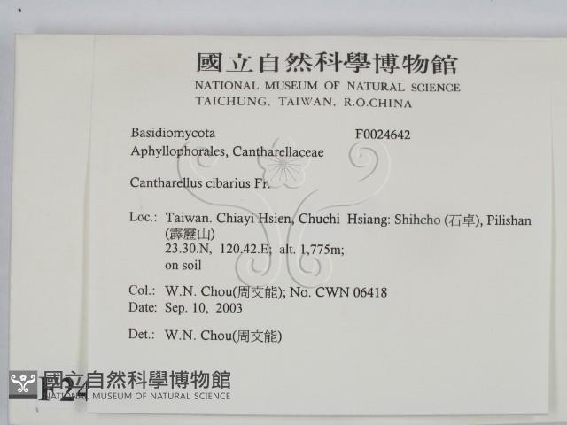 登錄號:F0024642藏品圖，第2張