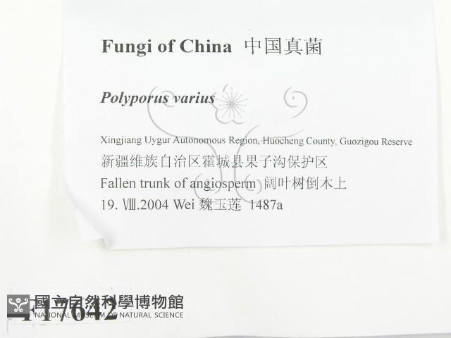 登錄號:F0017642藏品圖，第2張