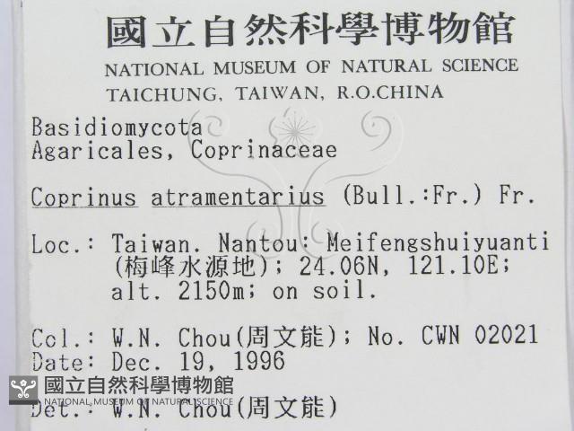 登錄號:F0005642藏品圖，第2張