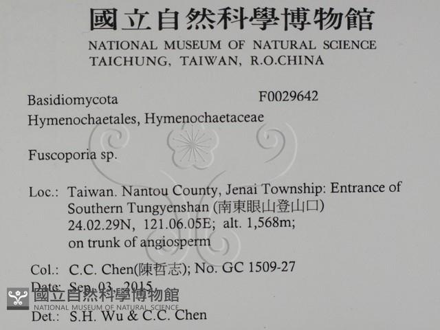 登錄號:F0029642藏品圖，第2張