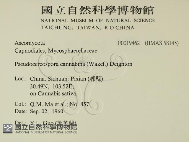 登錄號:F0019642藏品圖，第2張