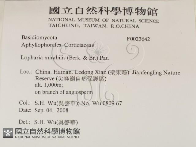 登錄號:F0023642藏品圖，第2張