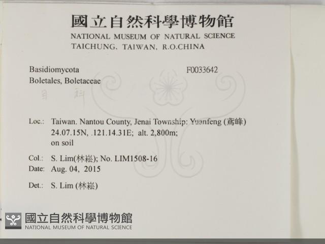 登錄號:F0033642藏品圖，第2張