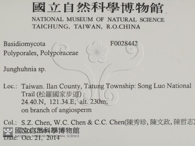 容氏菌屬藏品圖，第2張