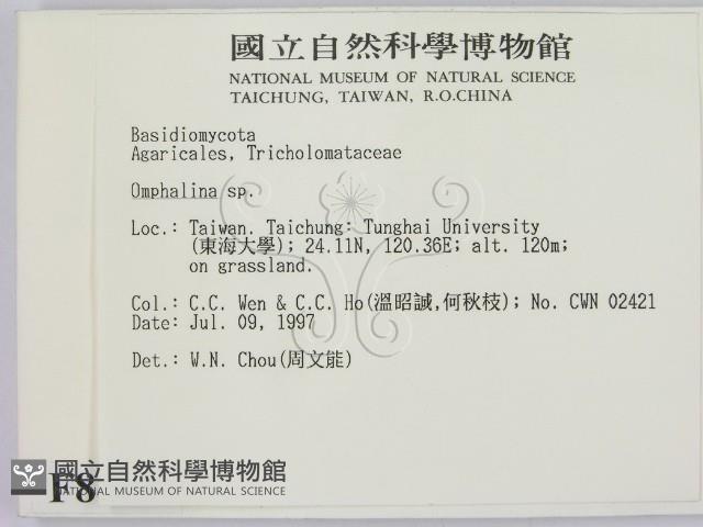 登錄號:F0008442藏品圖，第2張