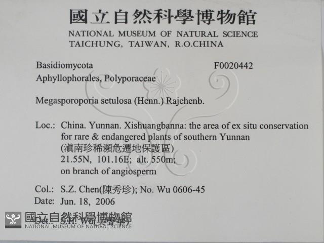 登錄號:F0020442藏品圖，第2張