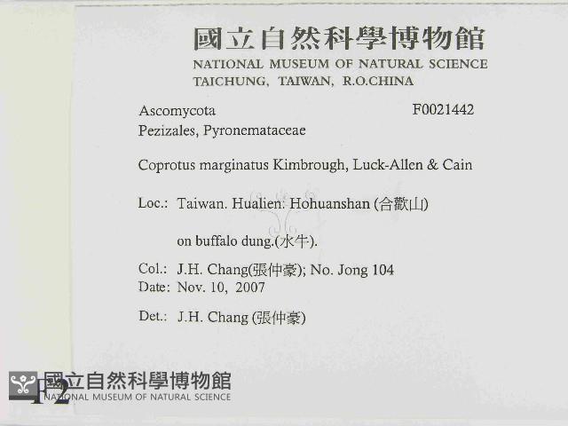 登錄號:F0021442藏品圖，第2張