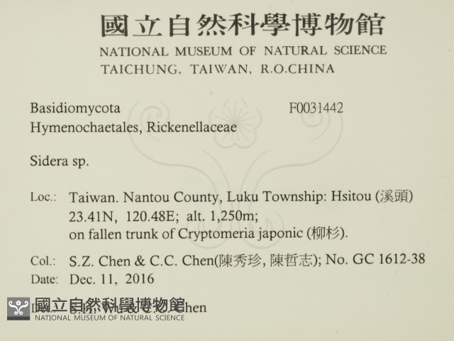 登錄號:F0031442藏品圖，第2張